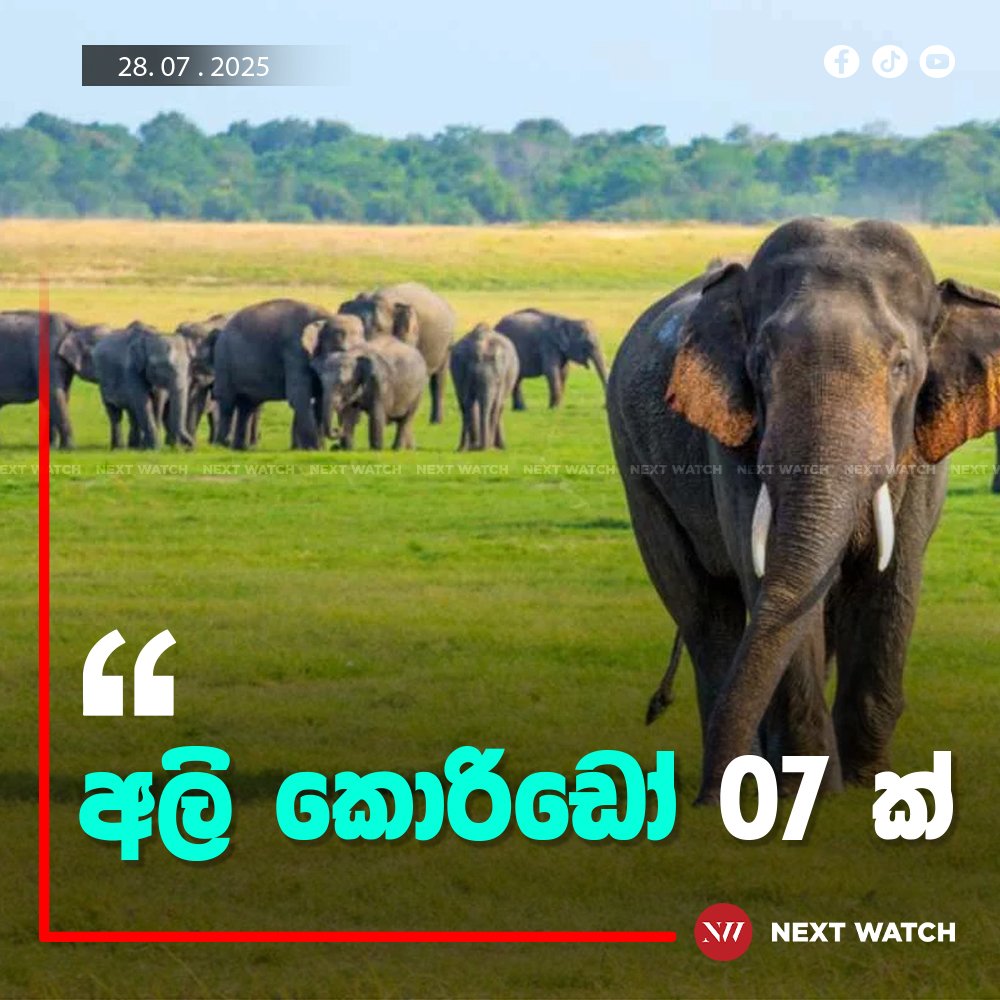 අලි කොරිඩෝ 07 ක් අලි කොරිඩෝ 07 ක්