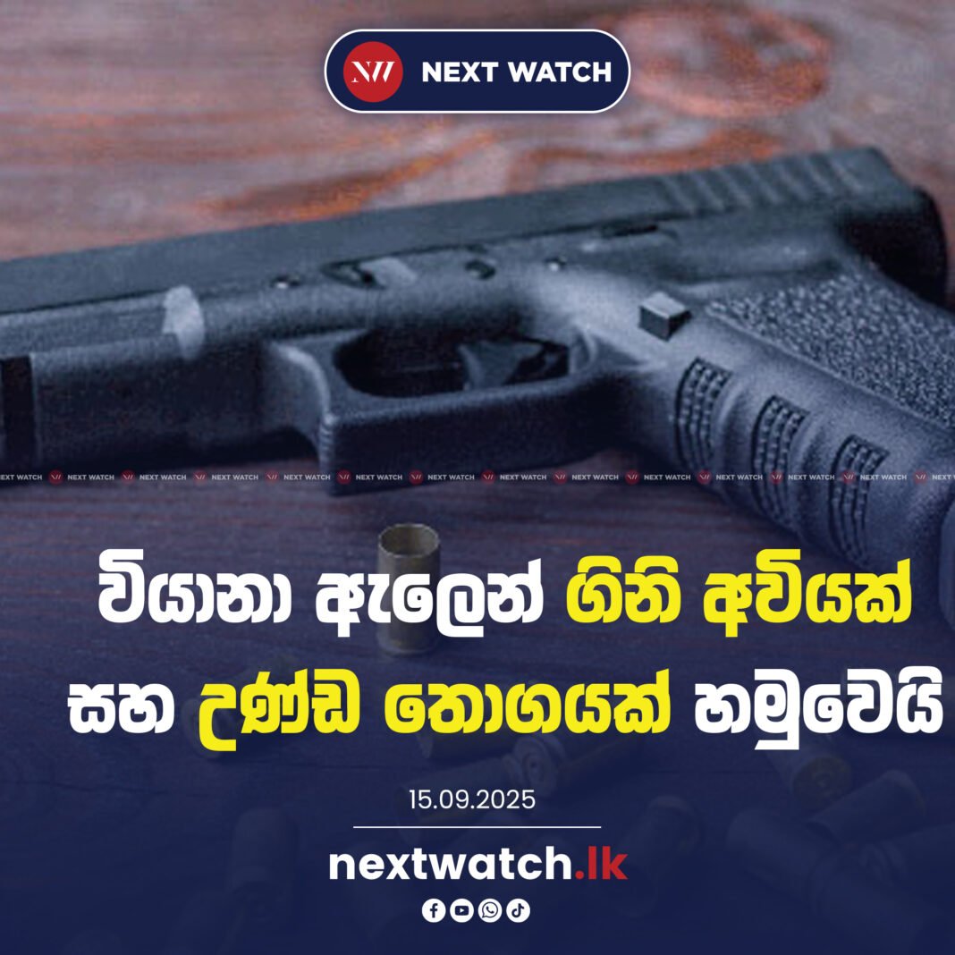වියානා ඇලෙන් ගිනි අවියක් සහ උණ්ඩ තොගයක් හමුවෙයි