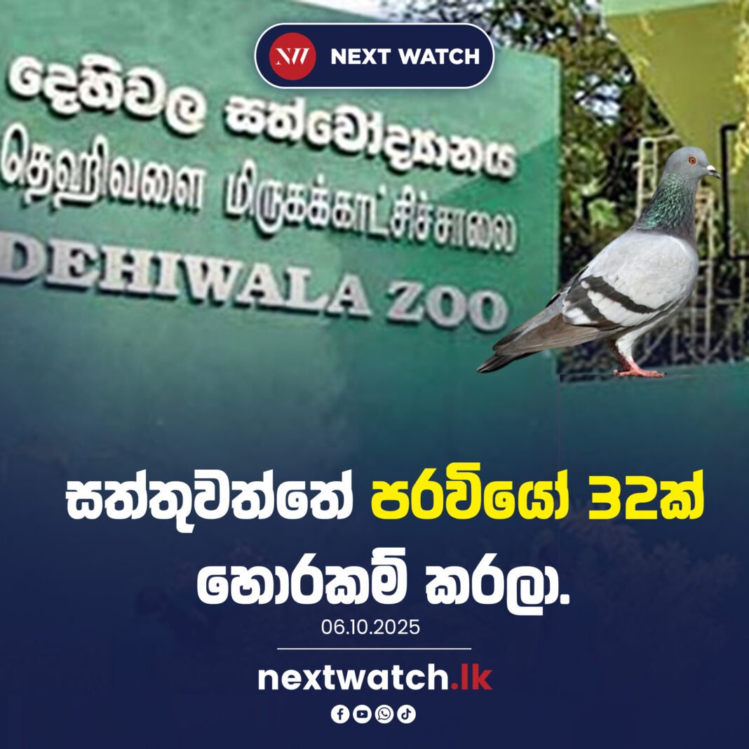 සත්තුවත්තේ පරවියෝ 32ක් හොරකම් කරලා.