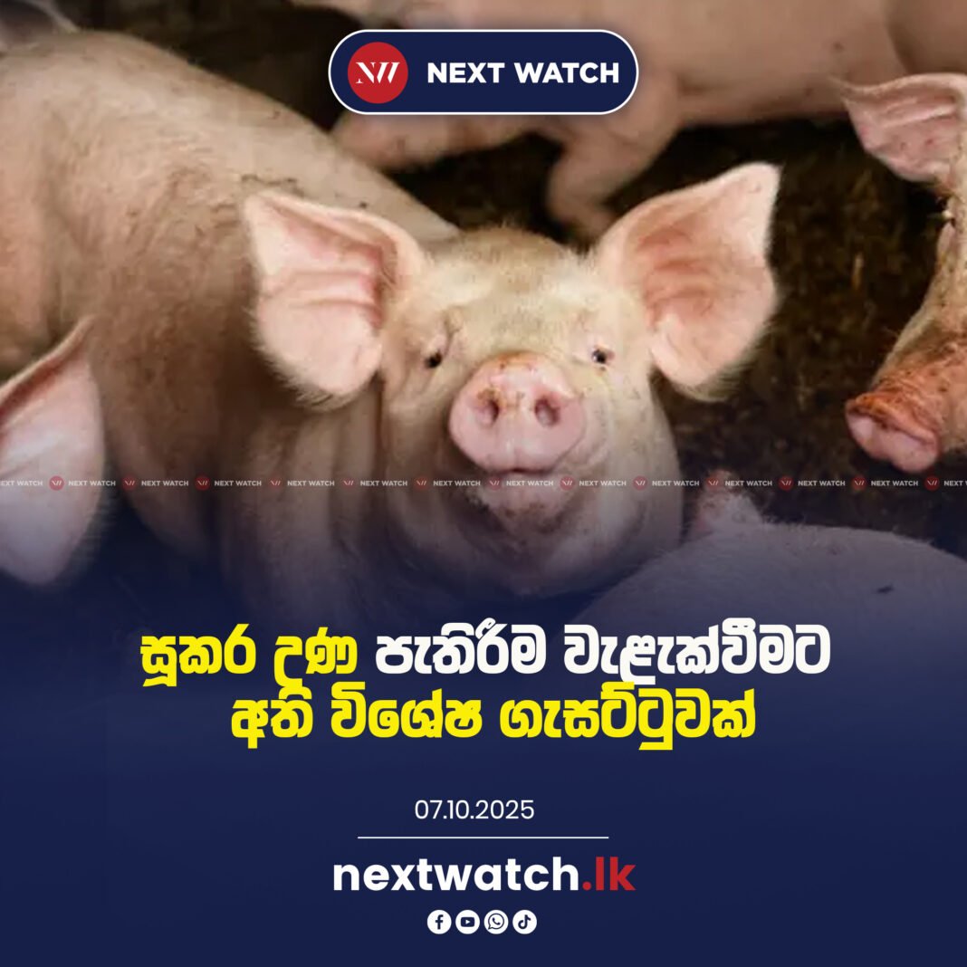 සූකර උණ පැතිරීම වැළැක්වීමට අති විශේෂ ගැසට්ටුවක්