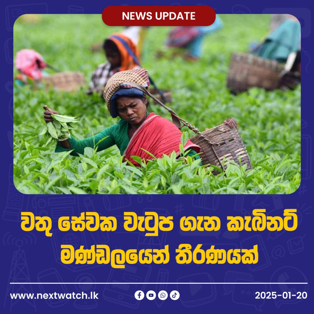 වතු සේවක වැටුප ගැන කැබිනට් මණ්ඩලයෙන් තීරණයක්