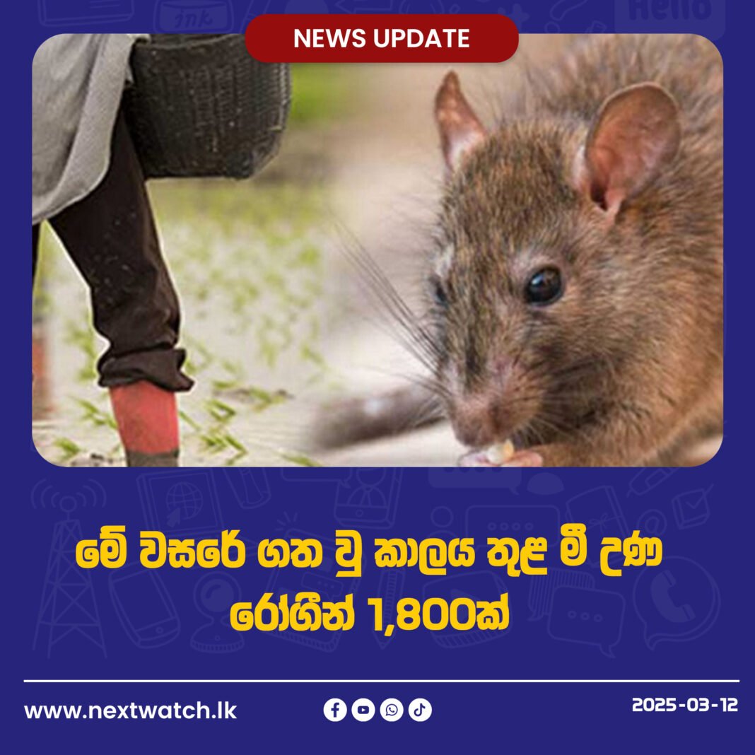 මේ වසරේ ගත වු කාලය තුළ මී උණ රෝගීන් 1,800ක්