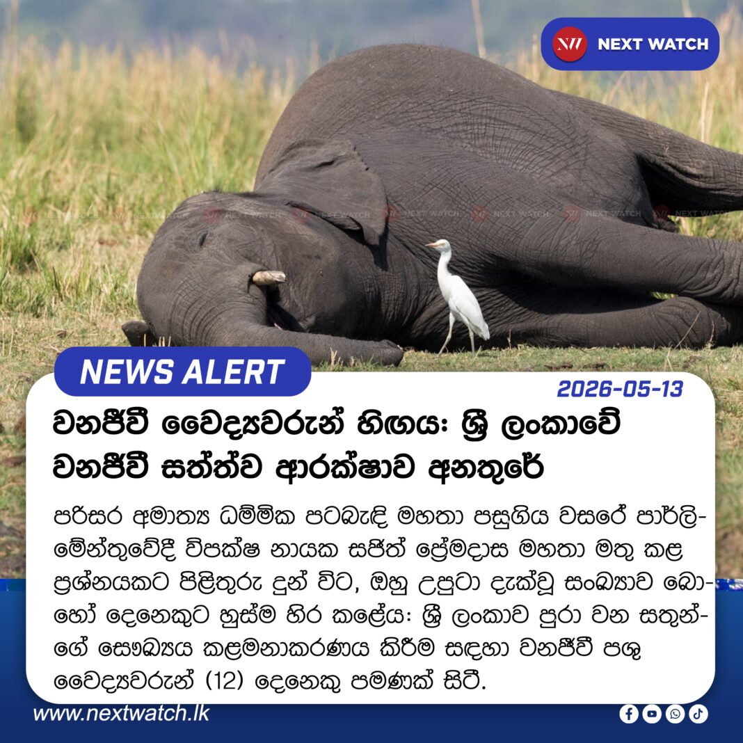 වනජීවී වෛද්යවරුන් හිඟය: ශ්රී ලංකාවේ වනජීවී සත්ත්ව ආරක්ෂාව අනතුරේ වනජීවී වෛද්යවරුන් හිඟය: ශ්රී ලංකාවේ වනජීවී සත්ත්ව ආරක්ෂාව අනතුරේ