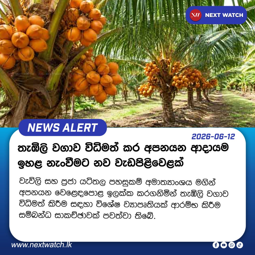තැඹිලි වගාව විධිමත් කර අපනයන ආදායම ඉහළ නැංවීමට නව වැඩපිළිවෙළක් තැඹිලි වගාව විධිමත් කර අපනයන ආදායම ඉහළ නැංවීමට නව වැඩපිළිවෙළක්