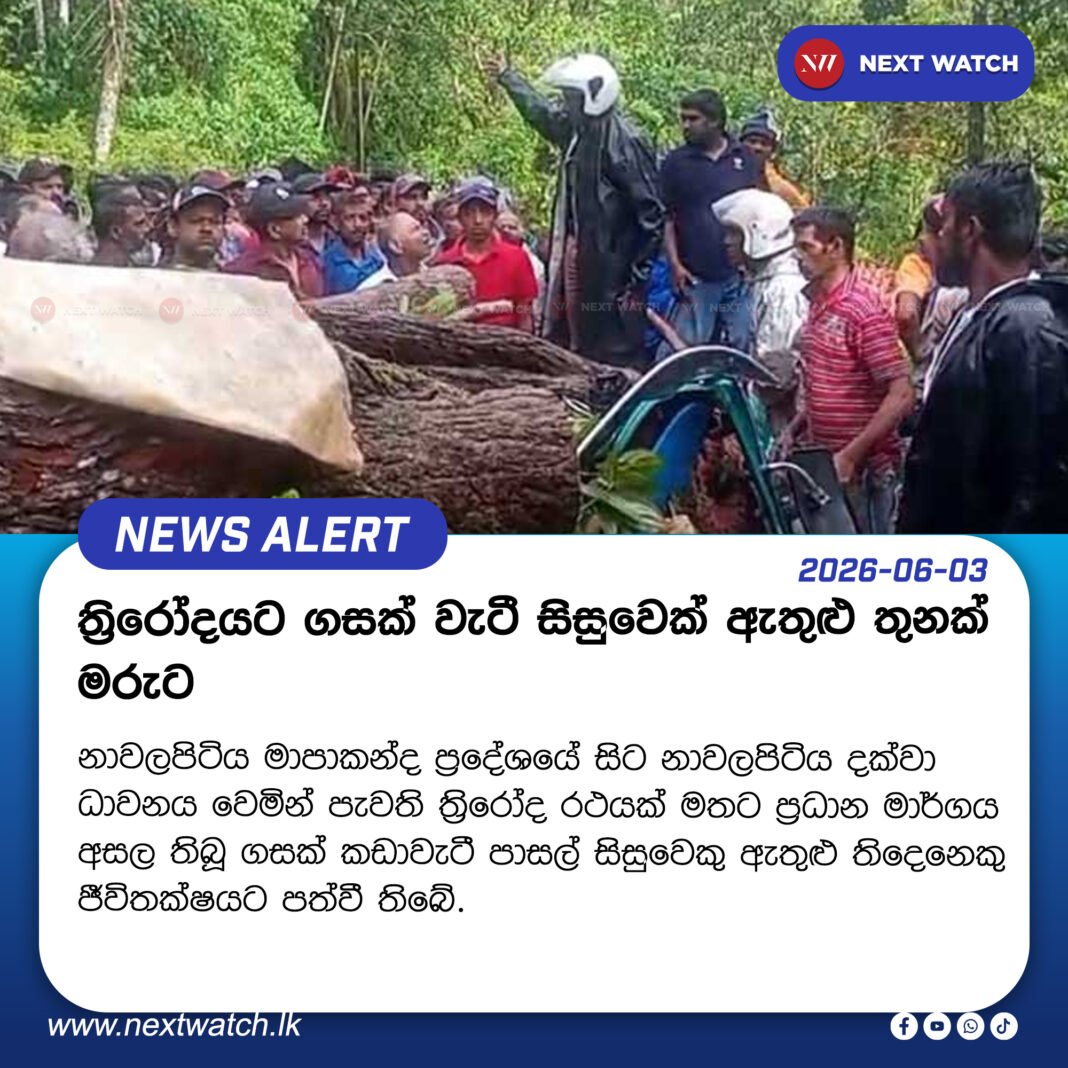 ත්රිරෝද රථය ගසක් වැටී සිසුවෙක් ඇතුළු තුනක් මරුට ත්රිරෝද රථය ගසක් වැටී සිසුවෙක් ඇතුළු තුනක් මරුට