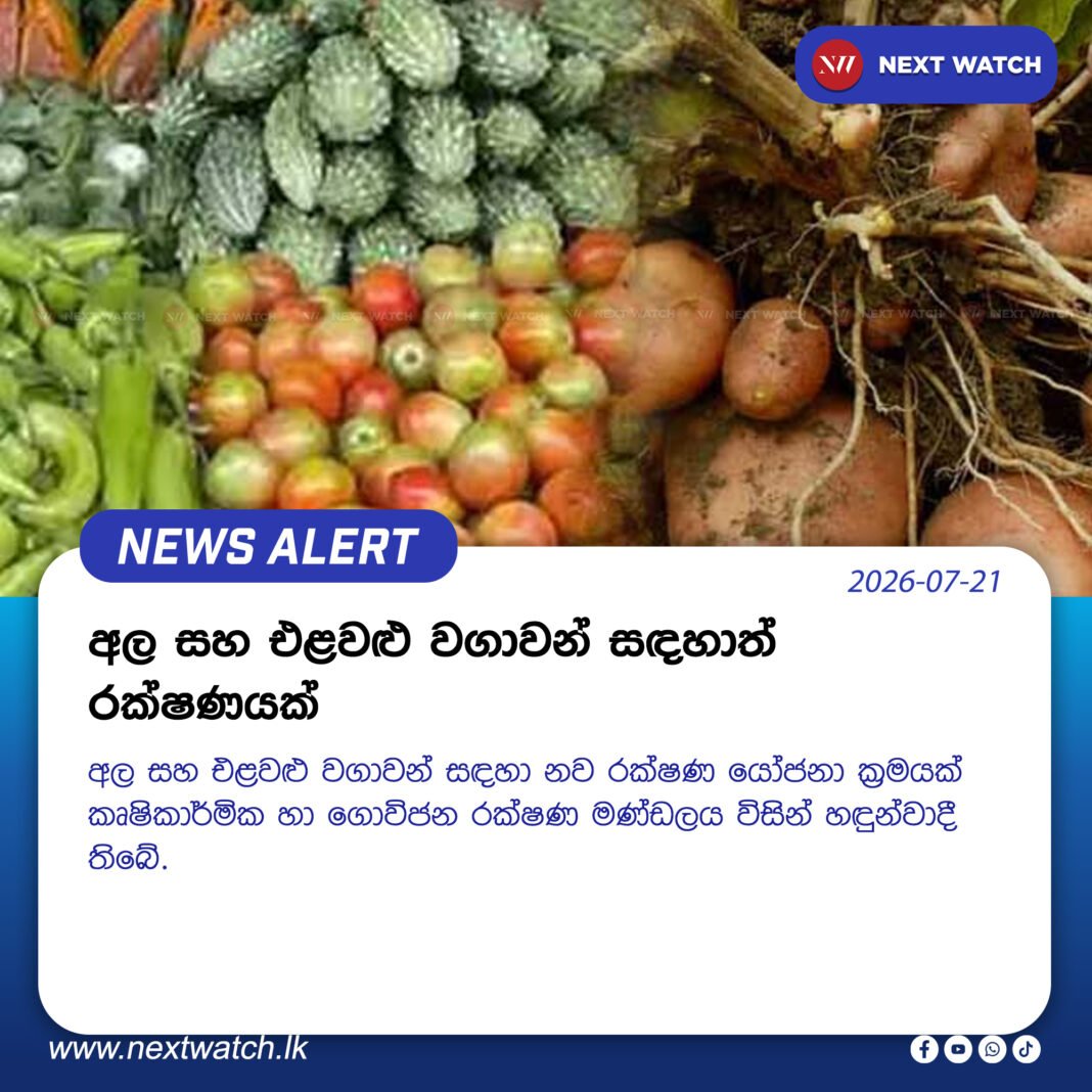අල සහ එළවළු වගාවන් සඳහාත් රක්ෂණයක් අල සහ එළවළු වගාවන් සඳහාත් රක්ෂණයක්