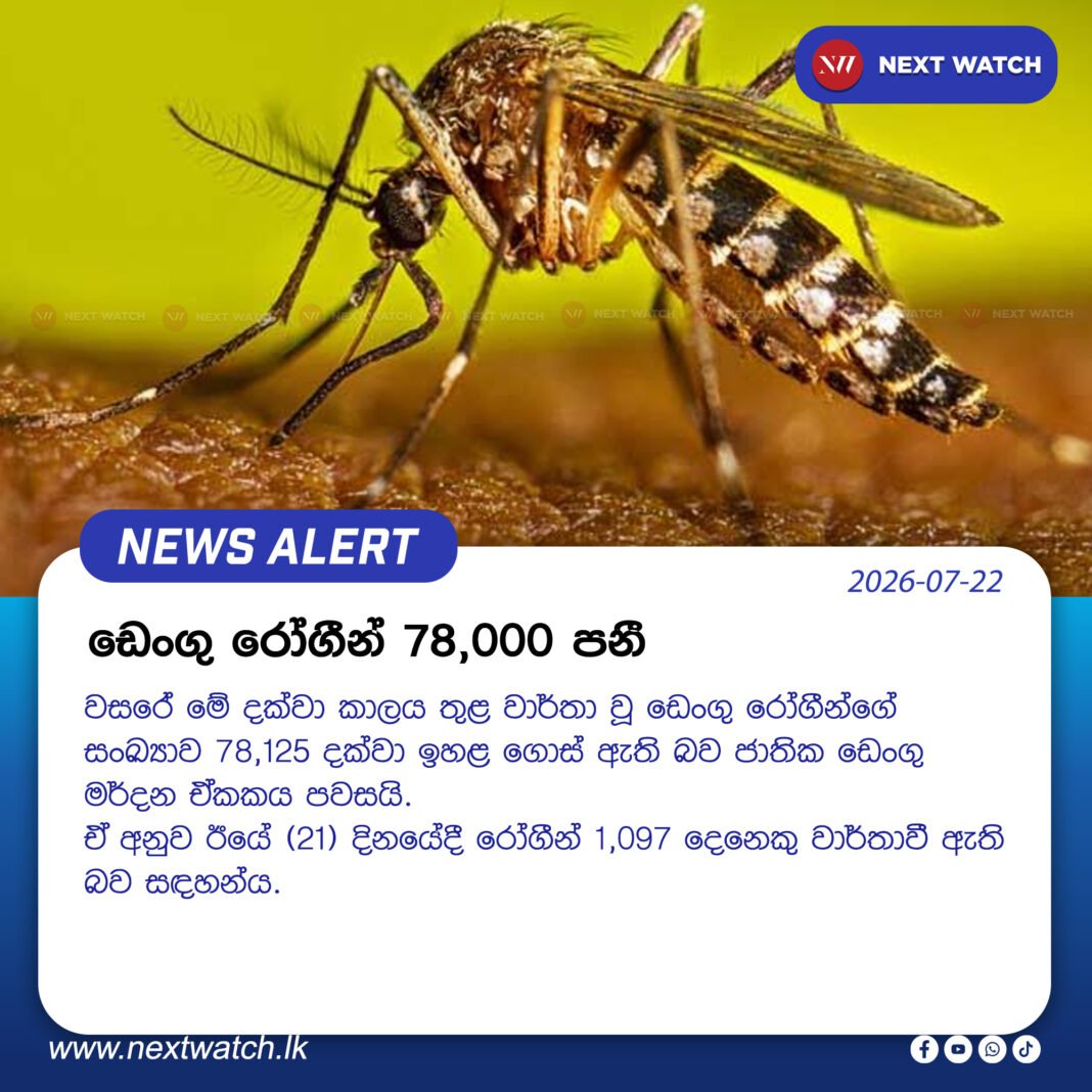ඩෙංගු රෝගීන් 78,000 පනී ඩෙංගු රෝගීන් 78,000 පනී