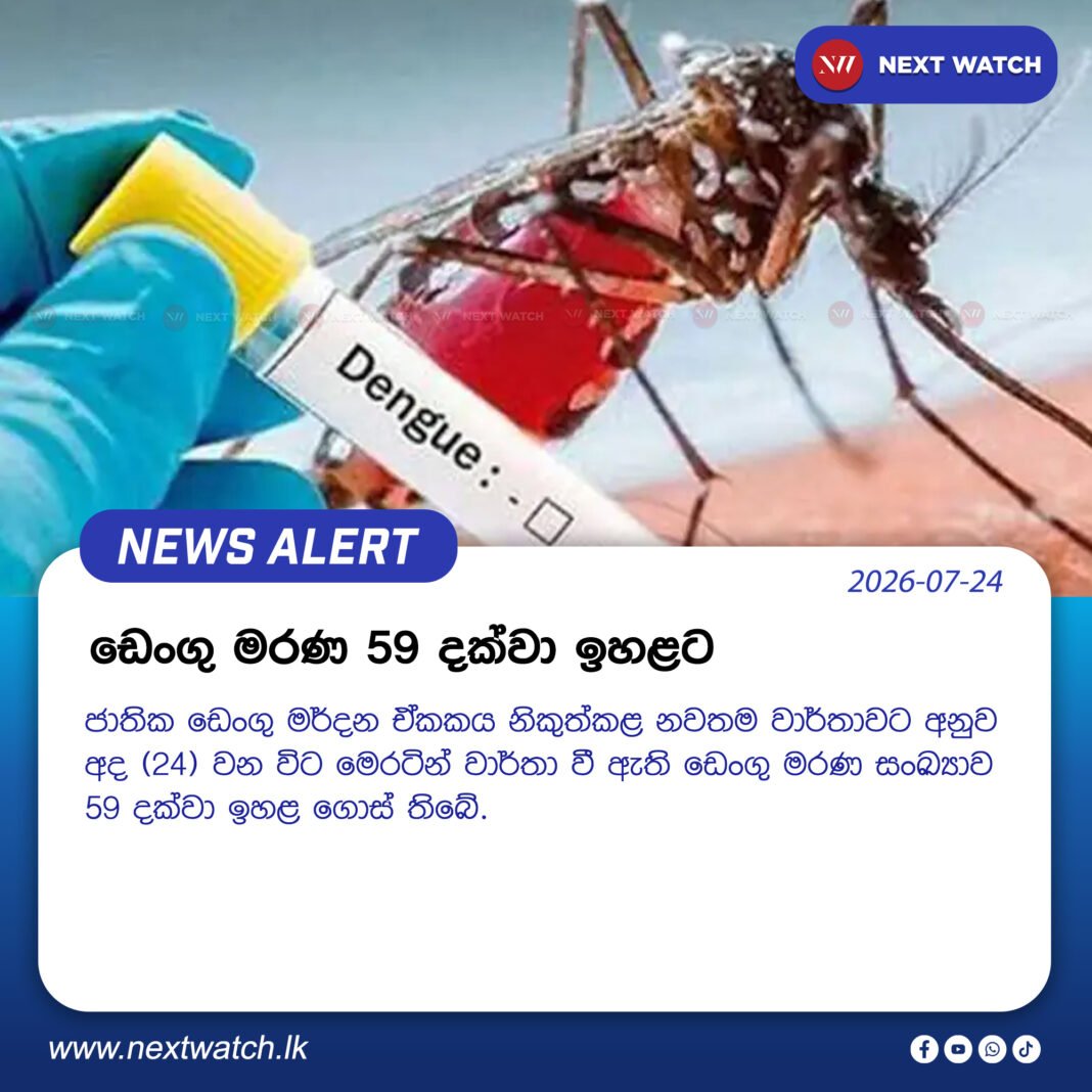 ඩෙංගු මරණ 59 දක්වා ඉහළට ඩෙංගු මරණ 59 දක්වා ඉහළට