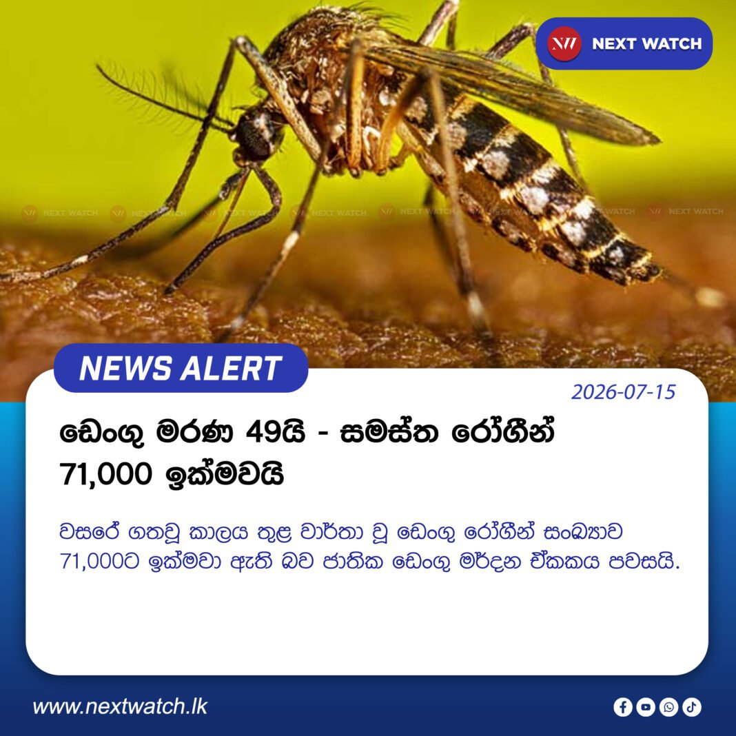 ඩෙංගු මරණ 49යි – සමස්ත රෝගීන් 71,000 ඉක්මවයි ඩෙංගු මරණ 49යි – සමස්ත රෝගීන් 71,000 ඉක්මවයි