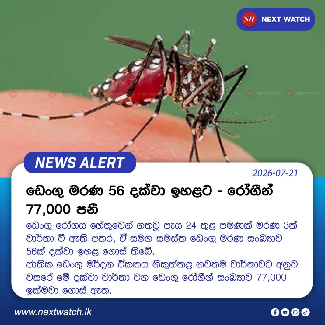 ඩෙංගු මරණ 56 දක්වා ඉහළට – රෝගීන් 77,000 පනී ඩෙංගු මරණ 56 දක්වා ඉහළට – රෝගීන් 77,000 පනී