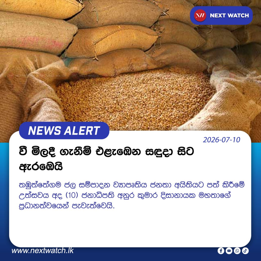 වී මිලදී ගැනීම් එළැඹෙන සඳුදා සිට ඇරඹෙයි වී මිලදී ගැනීම් එළැඹෙන සඳුදා සිට ඇරඹෙයි