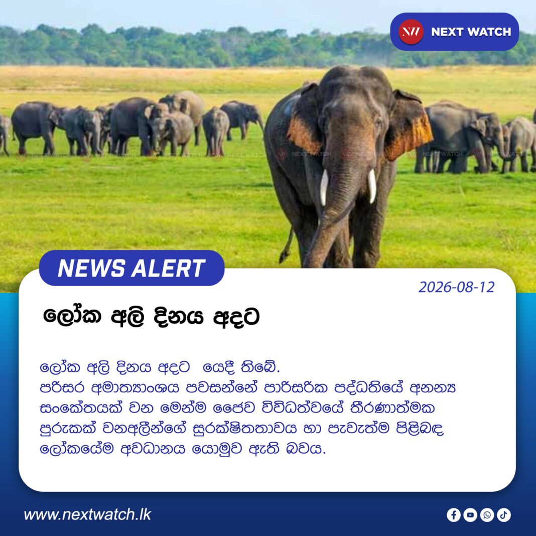 ලෝක අලි දිනය අදයි ලෝක අලි දිනය අදයි