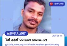 ‘බස් ලලිත්’ CCIBයට රැගෙන යයි