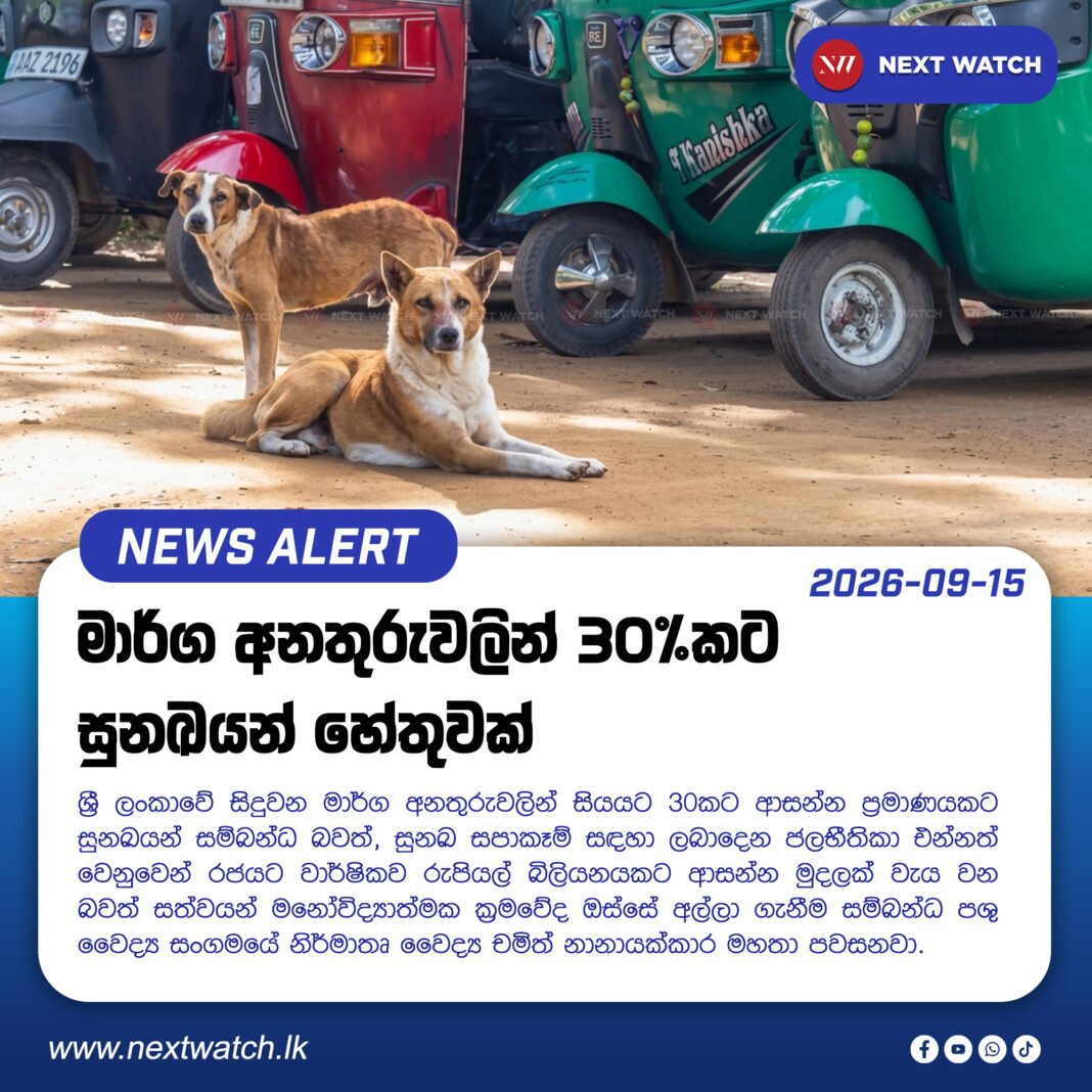 මාර්ග අනතුරුවලින් 30%කට සුනඛයන් හේතුවක් මාර්ග අනතුරුවලින් 30%කට සුනඛයන් හේතුවක්
