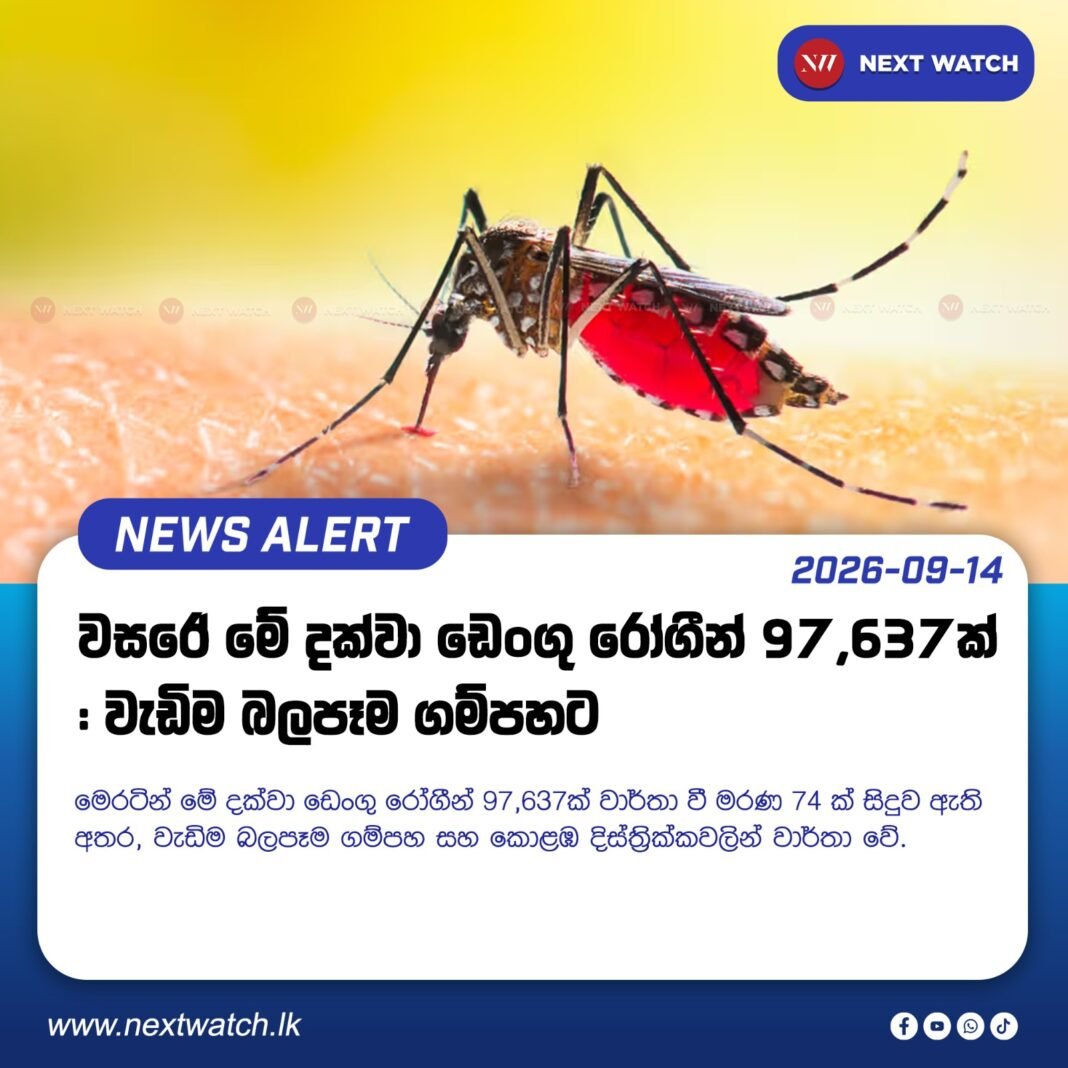 වසරේ මේ දක්වා ඩෙංගු රෝගීන් 97,637 ක් – වැඩිම බලපෑම ගම්පහට වසරේ මේ දක්වා ඩෙංගු රෝගීන් 97,637 ක් – වැඩිම බලපෑම ගම්පහට