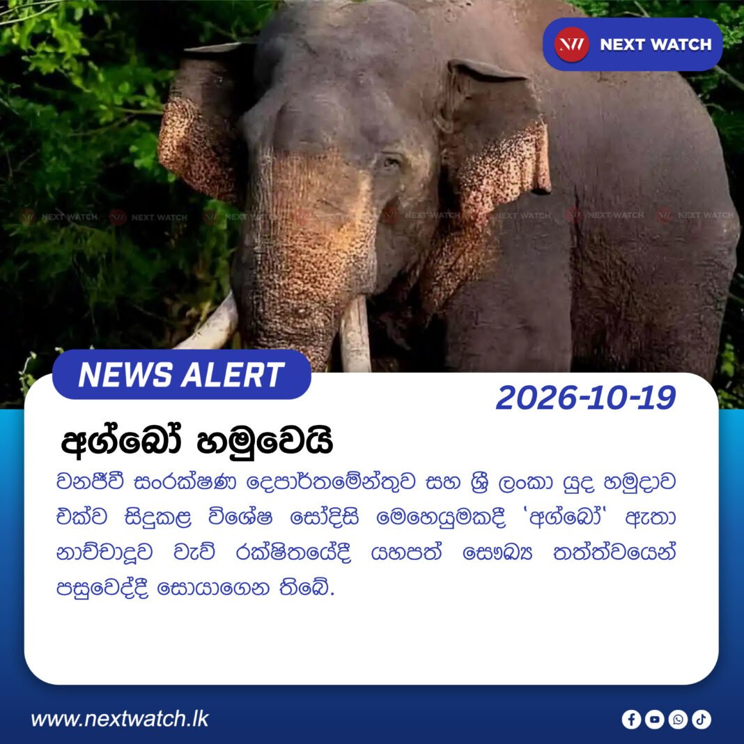 අග්බෝ හමුවෙයි අග්බෝ හමුවෙයි