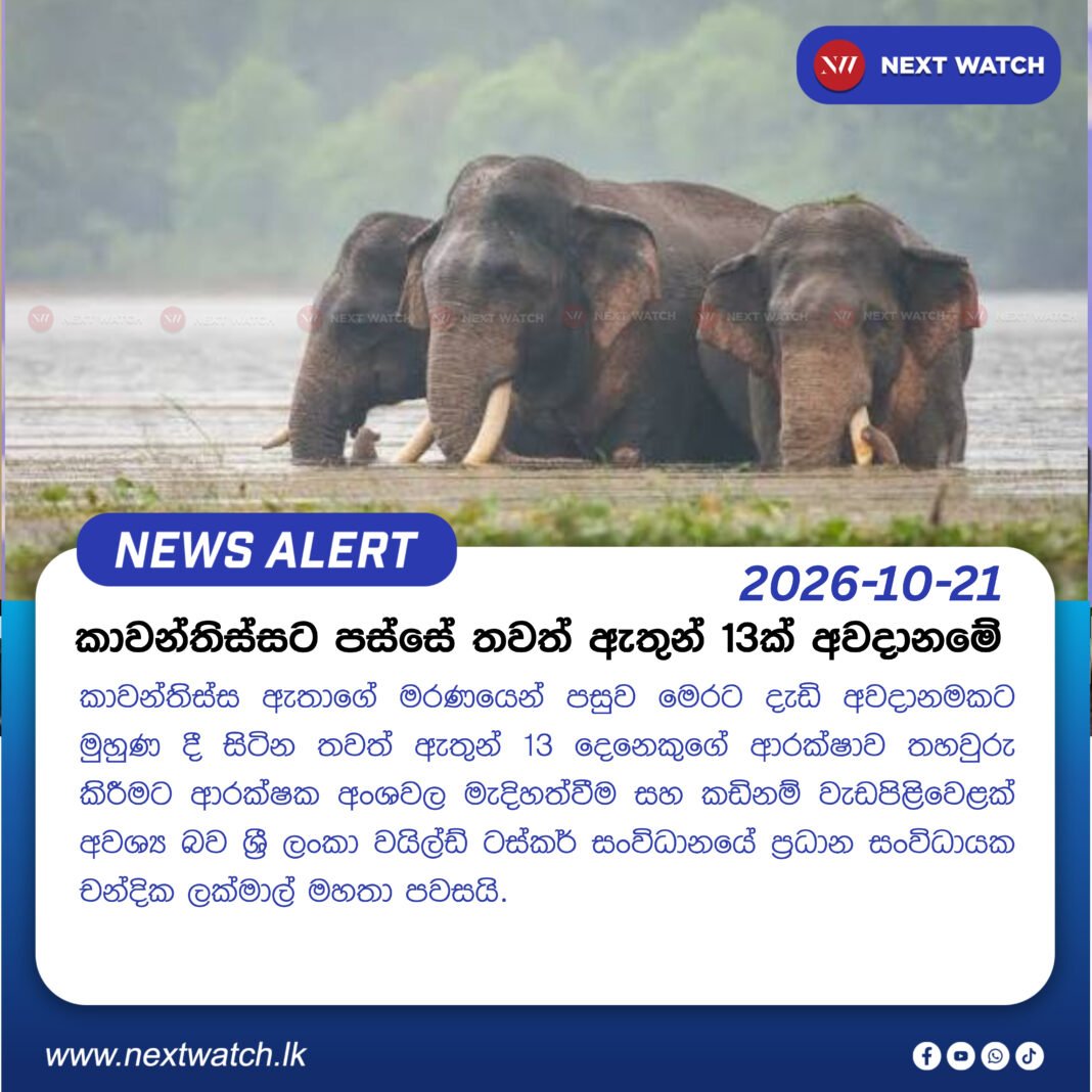 කාවන්තිස්සට පස්සේ තවත් ඇතුන් 13ක් අවදානමේ කාවන්තිස්සට පස්සේ තවත් ඇතුන් 13ක් අවදානමේ