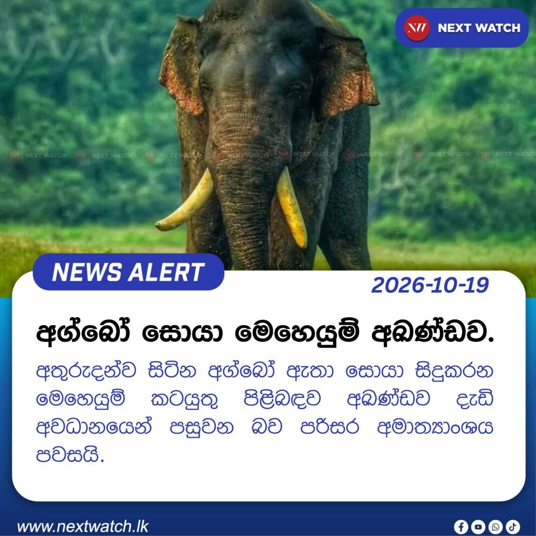 අග්බෝ සොයා මෙහෙයුම් අඛණ්ඩව. අග්බෝ සොයා මෙහෙයුම් අඛණ්ඩව.